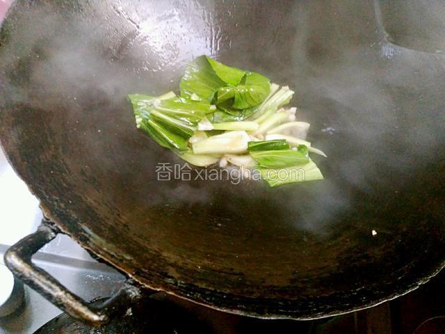 加入白菜加白菜的盐炒匀