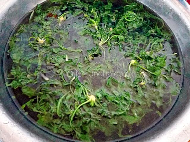 水开加点油，焯荠菜，过凉水
