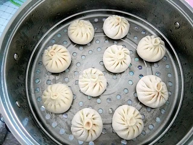 包好包子