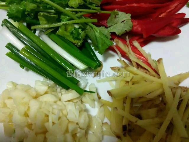 葱段，姜丝，蒜蓉，红椒丝，香菜备料
