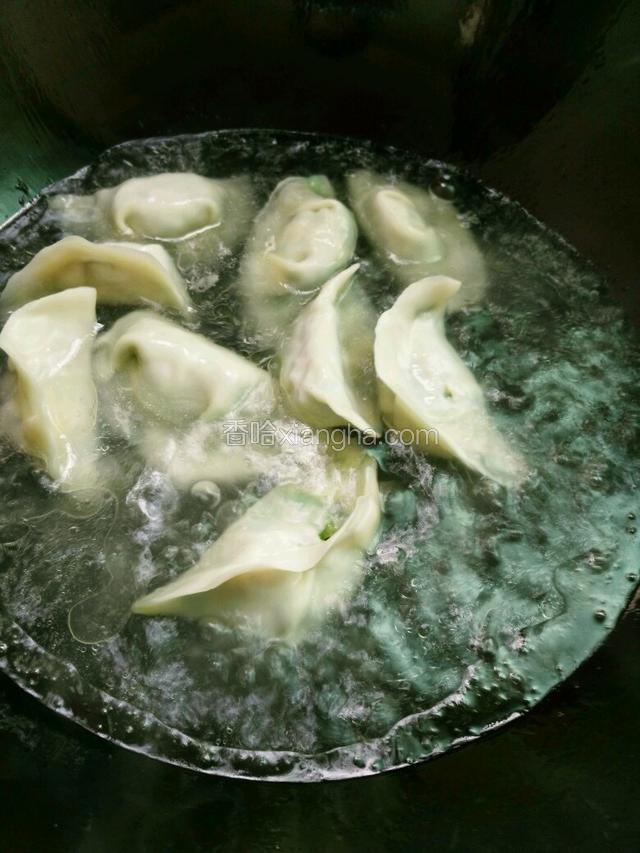 放入饺子，盖上盖子，煮熟。