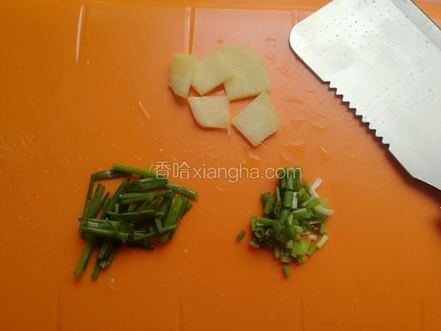姜切片，小葱一半切段，一半切未。