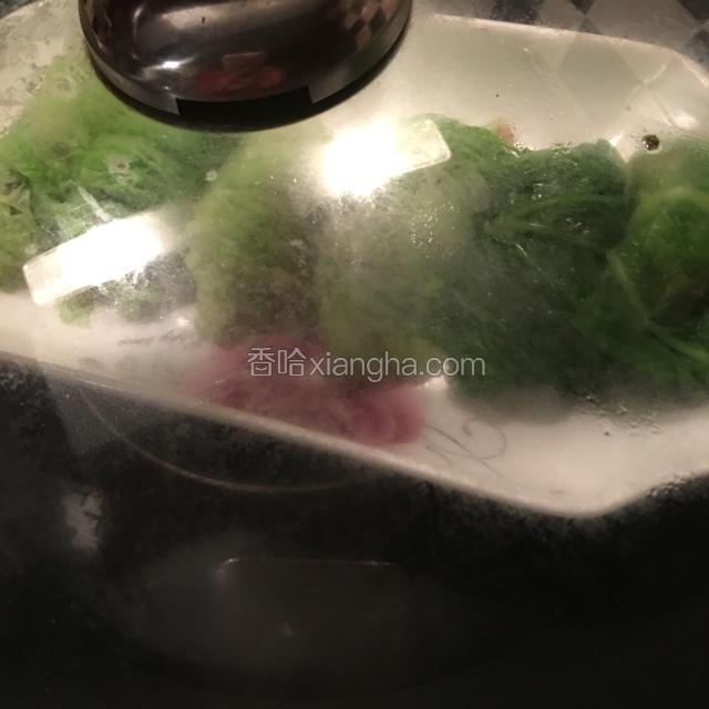 将卷好的白菜卷上锅蒸15分钟左右。