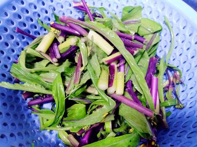 红油菜苔摘好洗净，控干水分备用。
