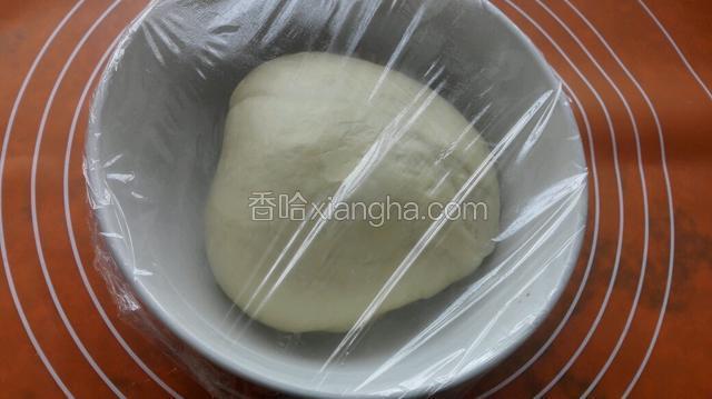 揉至大概四十五分钟，完全扩展阶段盖保鲜膜进行发酵，直接在面包机里发酵也可以，我是拿出放在凉一些地方发酵了一晚！