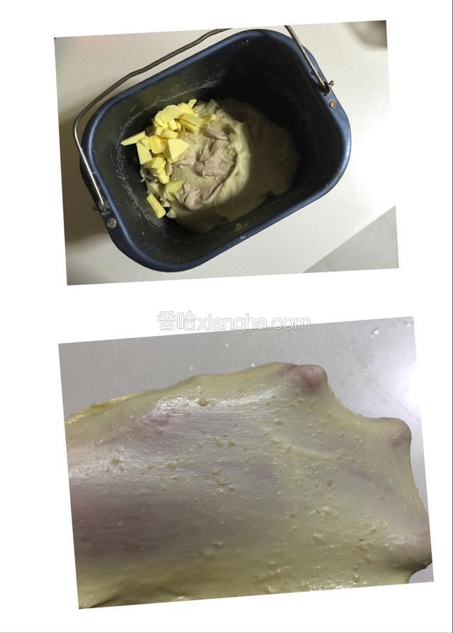 加入黄油再次启动和面程序将面团揉至完全扩展阶段；