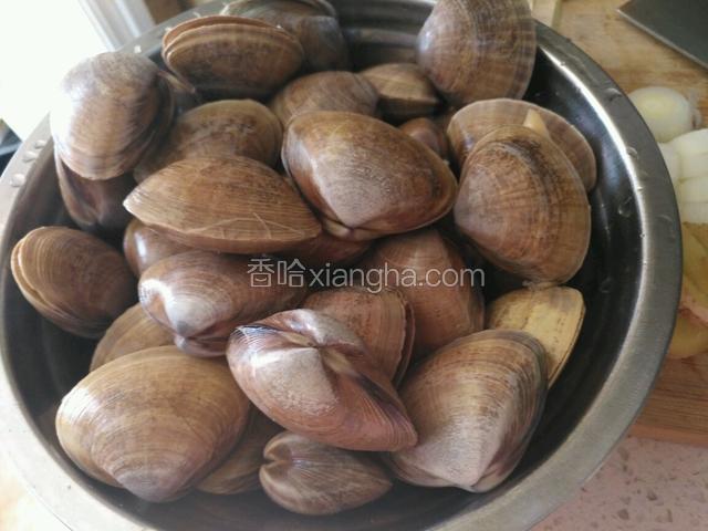 黄蚬子洗净。
