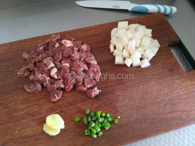 准备好食材，牛肉提前三小时用清水泡（期间换几次水）牛肉和萝卜分别切块，姜切片，葱切段。