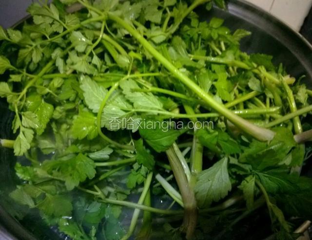 水芹菜过水，水滚放水芹菜入锅
