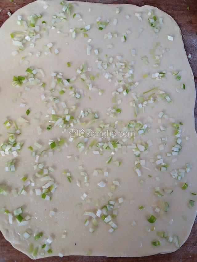 撒上少许盐和适量葱花