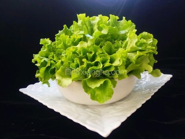 蘸汁生菜