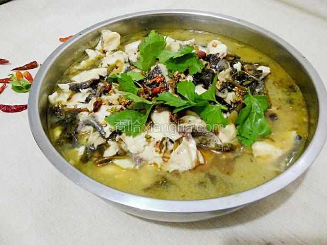 酸菜鱼