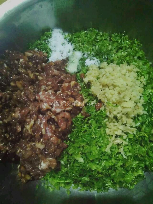把茴香切好，和肉糜、姜、适量盐和酱油，食用油和芝麻油放一起。