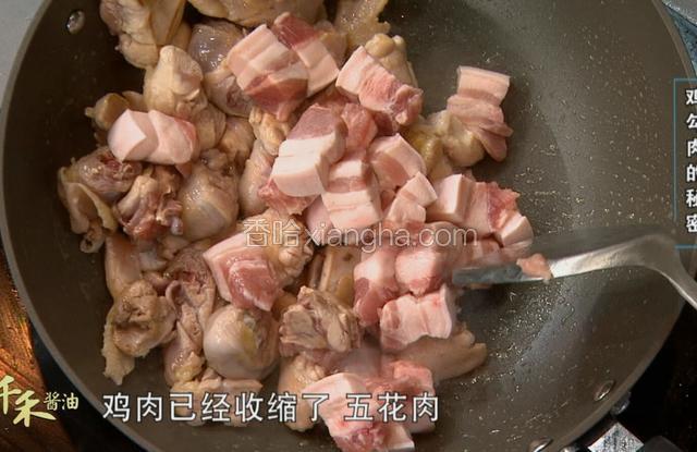 待鸡肉收缩之后，下入切好的猪肉块儿