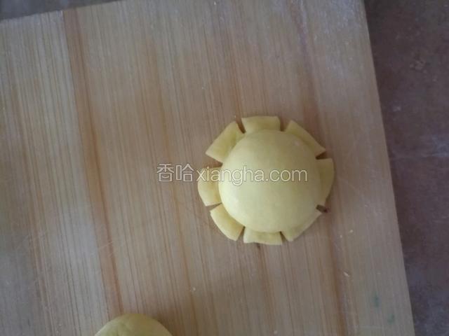 把捏出来的边剪成8个花瓣。