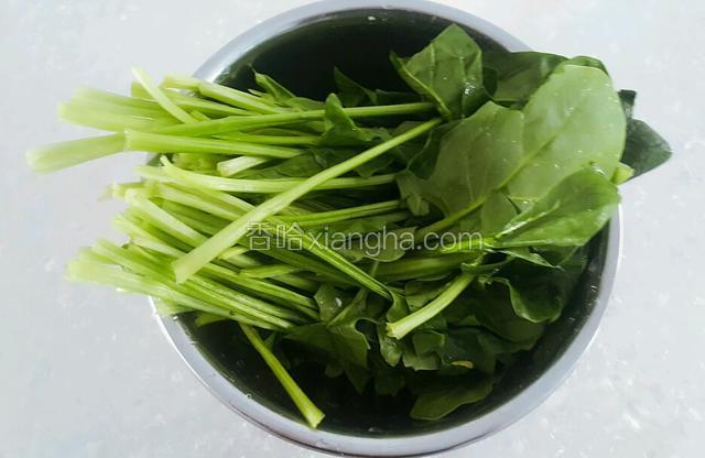 菠菜去根，洗净。