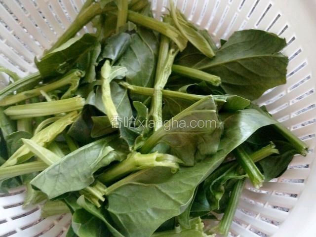 菠菜洗净