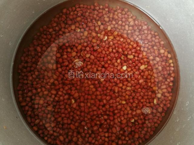 红豆凉水浸泡12小时以上，夏天要放冰箱冷藏。