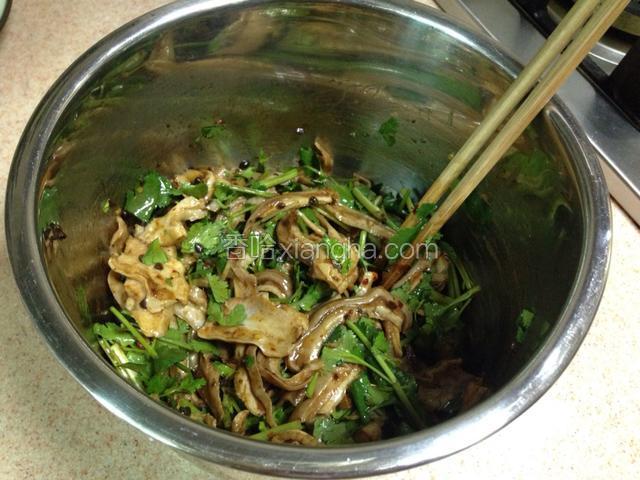 将猪肚、香菜调味汁全部拌匀。