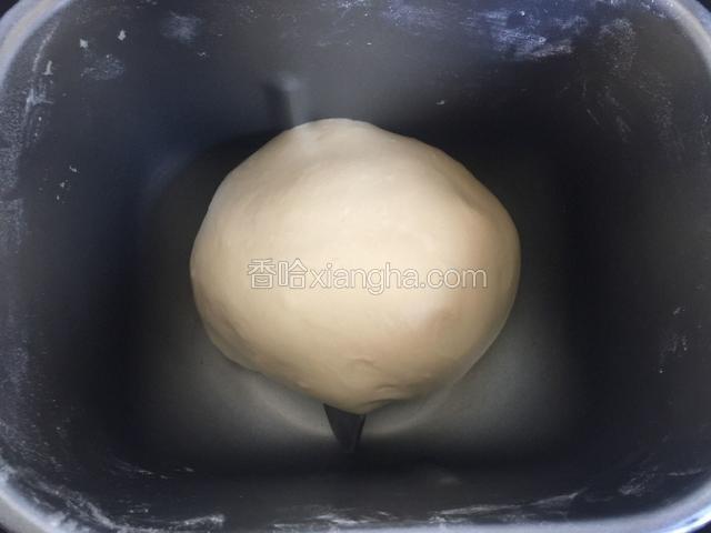 进行第一次发酵。