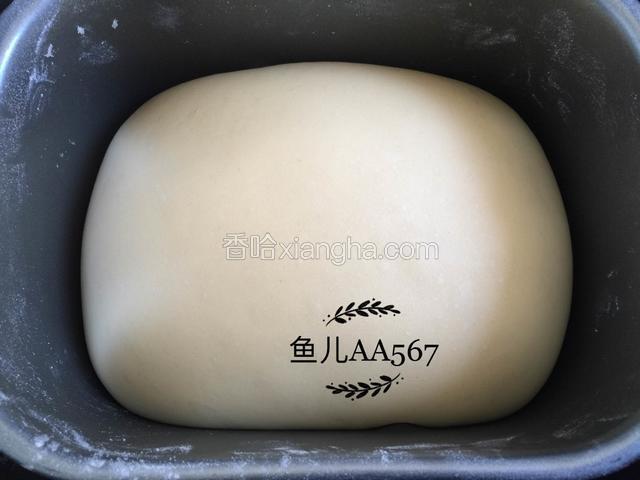 大约一小时后发至二倍大，取出排气。