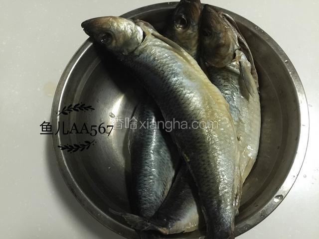 沙丁鱼去腮去内脏洗净。