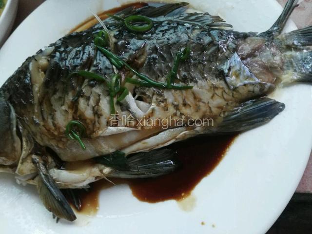 蒸好去掉生姜和葱，鱼装入另外一个盘子，将蒸鱼豉油淋上去，放入一些葱。
锅里热油，浇在鱼上面即可