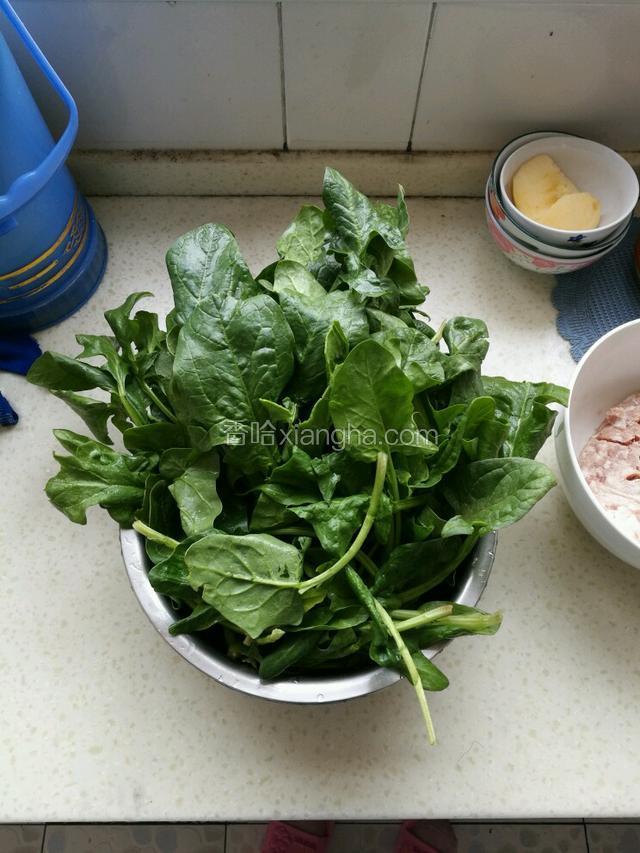 醒面的时间来做馅，菠菜摘洗干净。