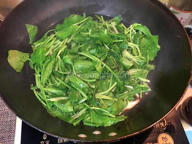 准备好的菠菜焯水后过凉水备用