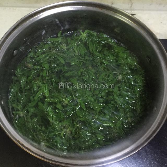 水沸后，将荠菜放入热水锅中焯半分钟。