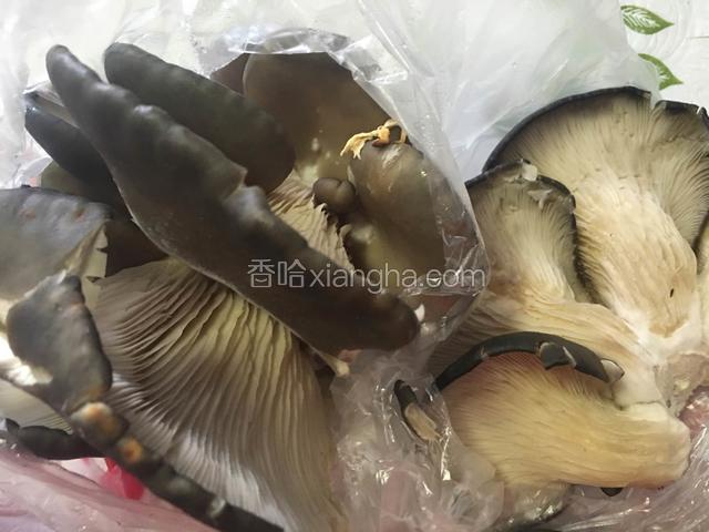 食材平菇。