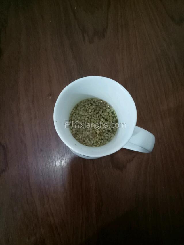 泡一杯大麦茶(不要滤茶叶。)     