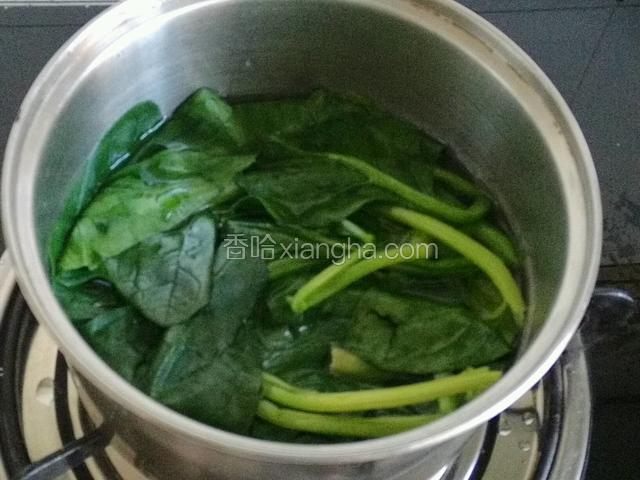 热水焯菠菜。