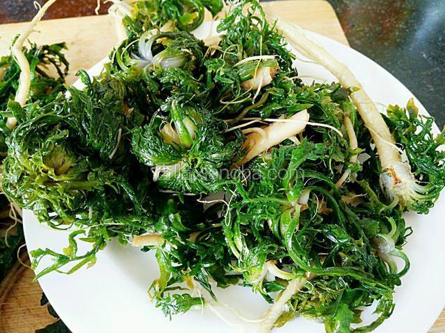 将新鲜的荠菜放入开水中焯烫两分钟左右捞出用凉水拔凉控水备用。