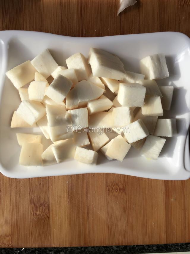 杏鲍菇切丁备用。