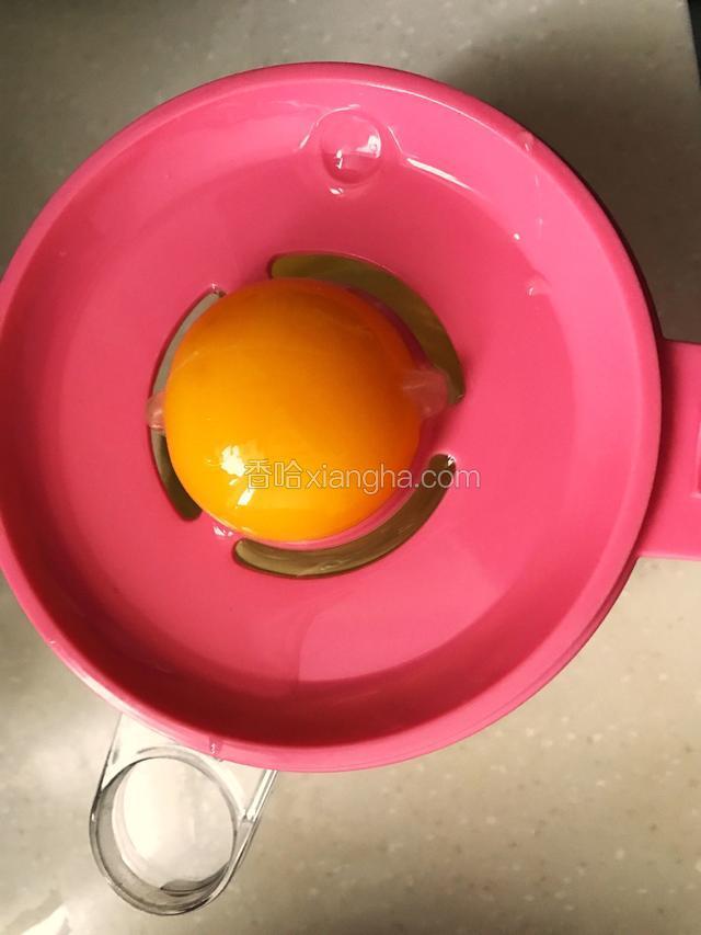 分离蛋清、蛋黄