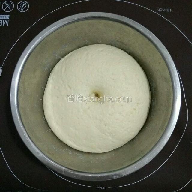 发到像这样大，面团的二分之一