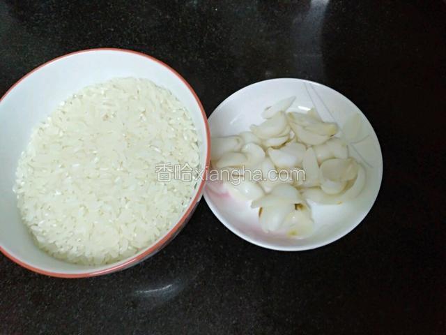 准备材料。
百合洗净，提前泡发一天一夜。