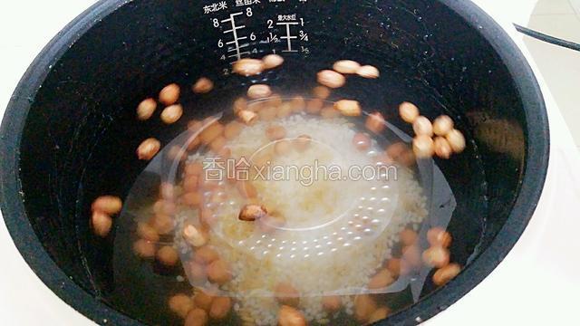 把花生、糯米燕麦淘洗干净放入电饭煲中，加入四碗水（放花生的碗）。
