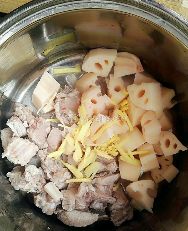 氽好的排骨沥水后入炖锅，藕及姜丝入炖锅一起。