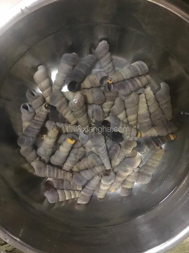 钉螺放清水里洗干净