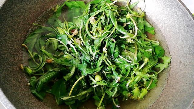 起锅放半锅水，煮开。倒入蒲公英淖水。