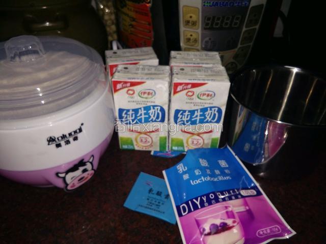 準備四盒純牛奶，六個分奶杯，一克菌粉，一台酸奶機，鍋裏燒沸水，把酸奶機內膽和蓋子洗乾淨