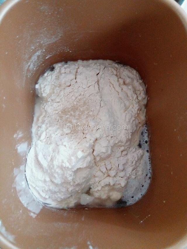 面粉加入 酵母和温水发面
