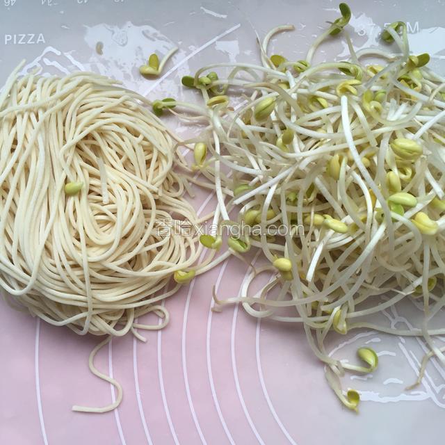 准备新鲜面条，豆芽洗干净