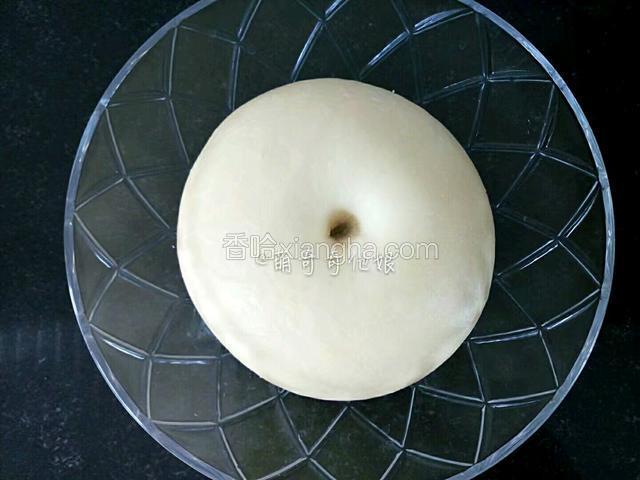 发酵至两倍大，手指沾干粉戳洞不回缩不塌陷即完成发酵。