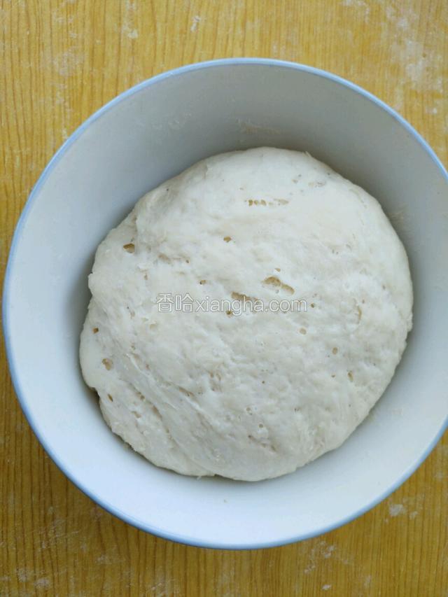 发酵两倍大就可以了