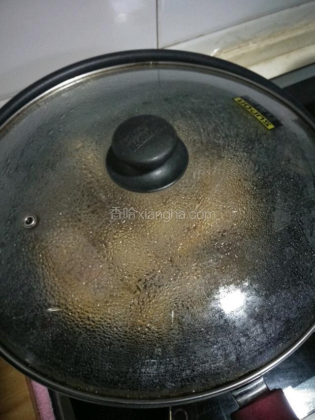 盖盖子中火煮15分钟左右