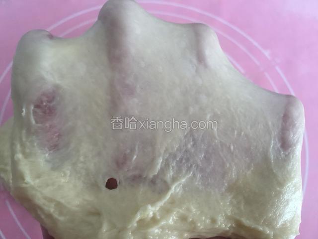 揉至能拉出结实的薄膜即可。（我拉的不好）
