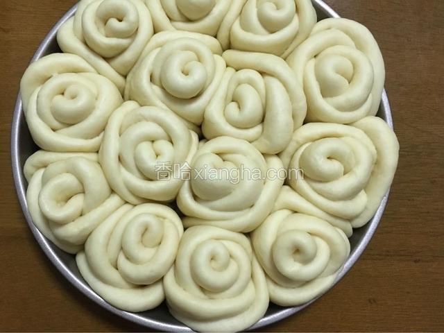 这是发酵好的。